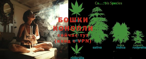 spice Кулебаки