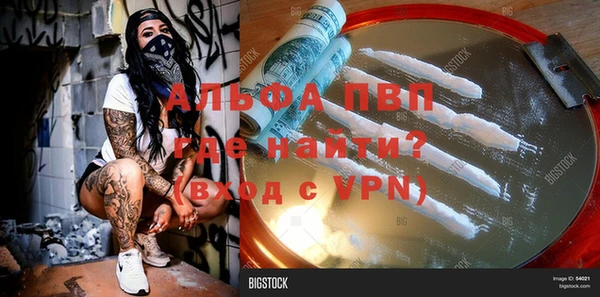 СК Великий Новгород