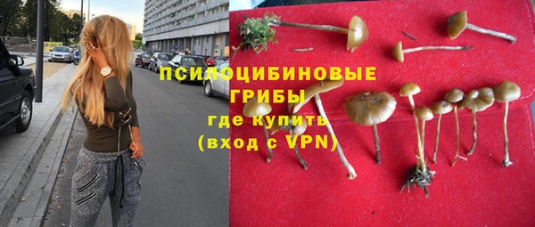 spice Кулебаки