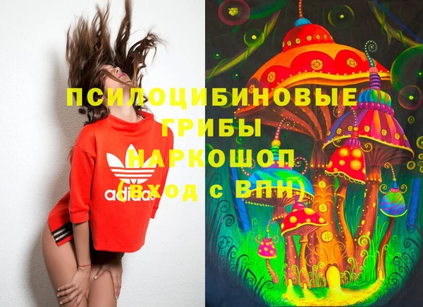 MDMA Кукмор