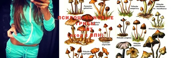 spice Кулебаки