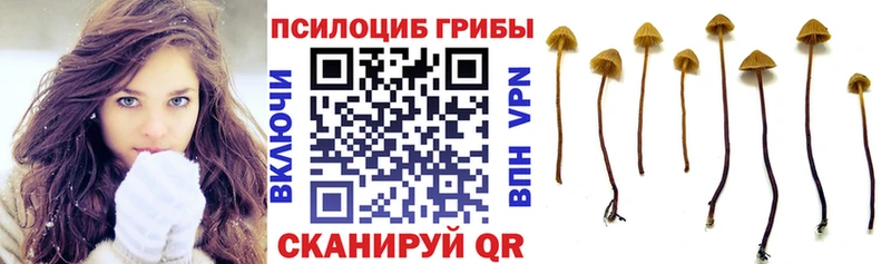 Псилоцибиновые грибы ЛСД MEGA онион Сясьстрой наркошоп